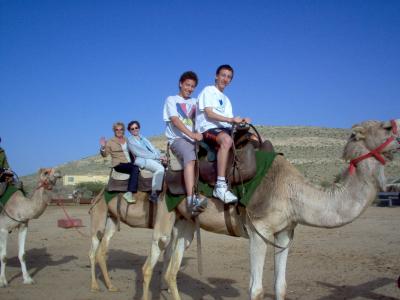 riding on camels